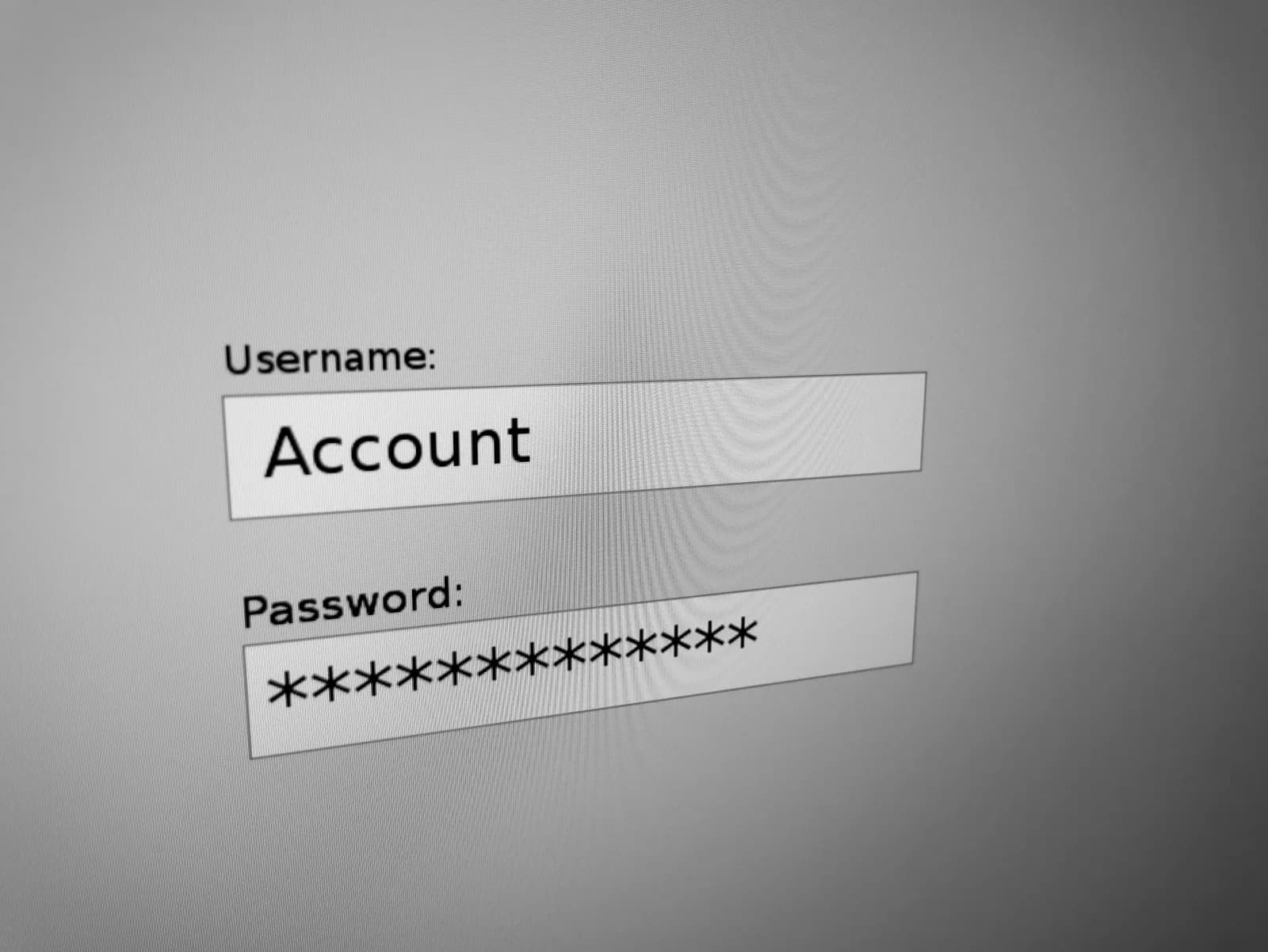 Computer screen showing a sign-in form with username and password fields