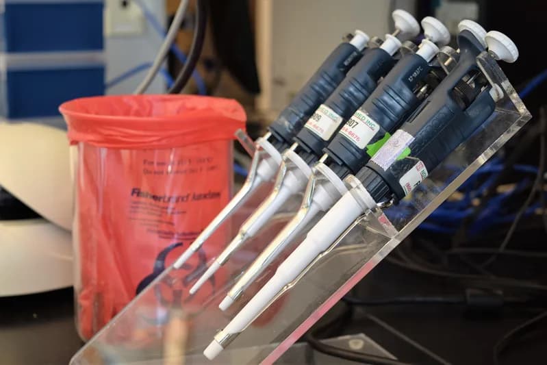 Four adjustable laboratory pipettes standing in a clear acrylic rack on a lab bench