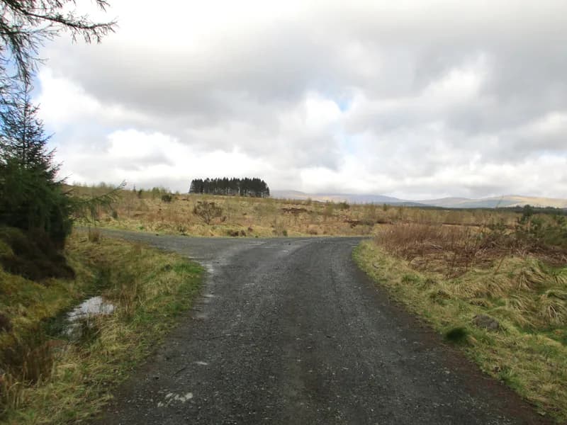 Gravel forest track splitting into two directions across open moorland under a cloudy sky