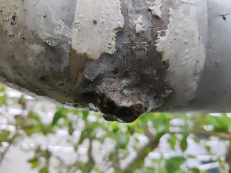Close-up of a rusted, flaking metal water pipe with a drop of water forming at a corroded spot, green leaves blurred behind